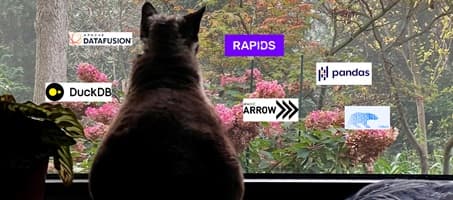 Cat looking out window, with dataframe logos outside, original image by  Lucy Jackline https://unsplash.com/photos/a-cat-sitting-on-a-window-sill-looking-out-a-window-O896LIqr2vc