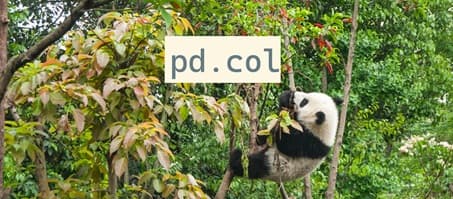 panda climbing tree, with `pd.col` text above. Photo by Chester Ho on Unsplash