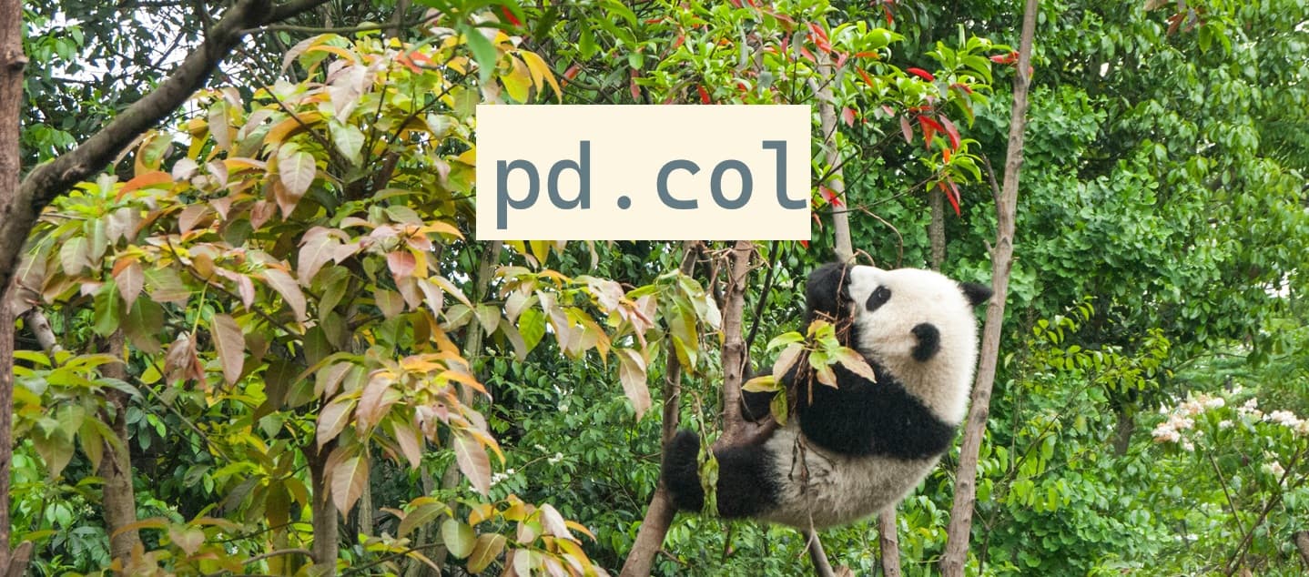 panda climbing tree, with `pd.col` text above. Photo by Chester Ho on Unsplash