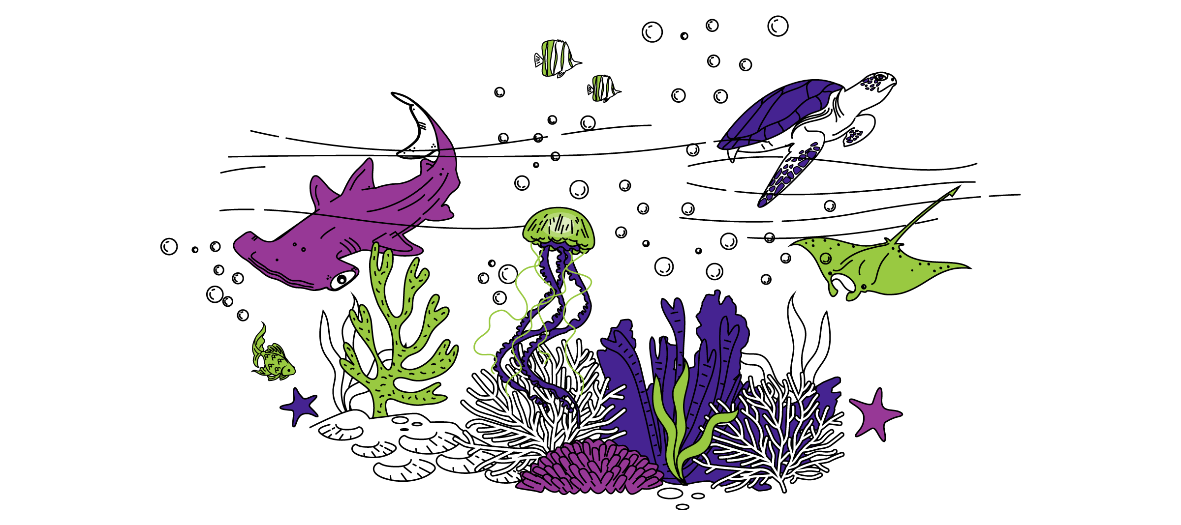 A coral reef ecosystem with corals, hammerhead shark, jelly fish, and turtle.