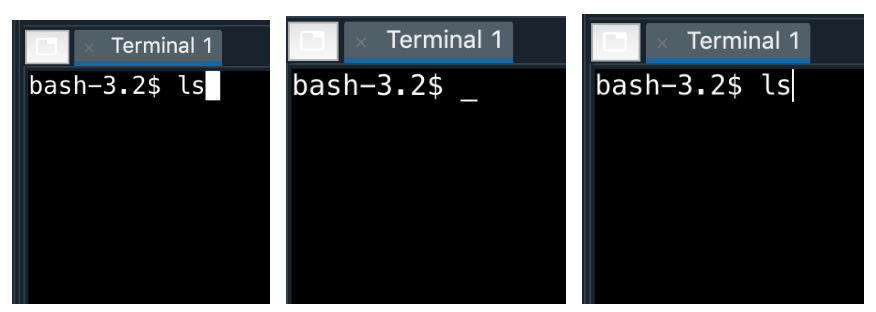 UNIX shell options for starting the terminal